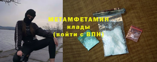 прущие грибы Наволоки