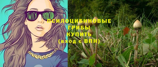 прущие грибы Наволоки