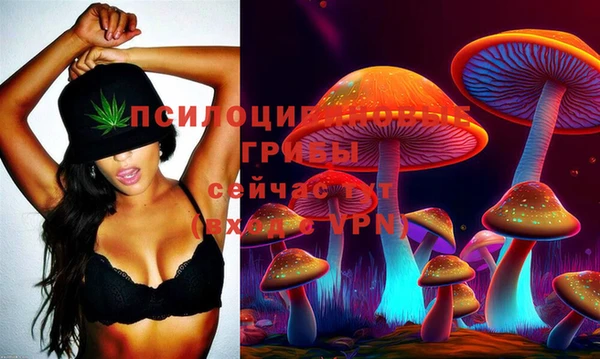 jwh Надым