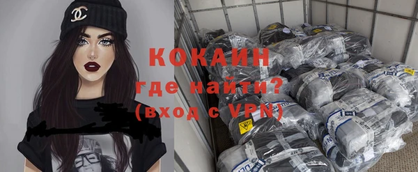 прущие грибы Наволоки