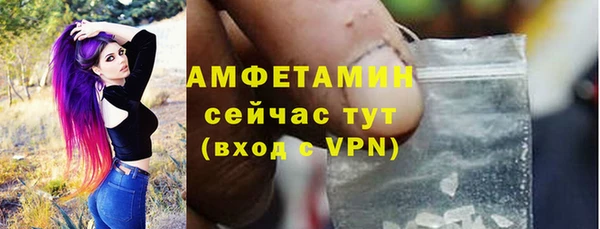 прущие грибы Наволоки