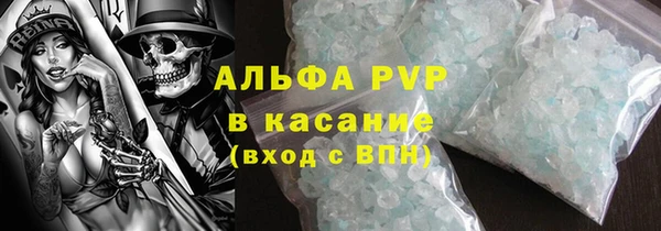 прущие грибы Наволоки
