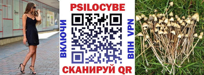 Псилоцибиновые грибы Psilocybine cubensis  как найти закладки  Райчихинск 